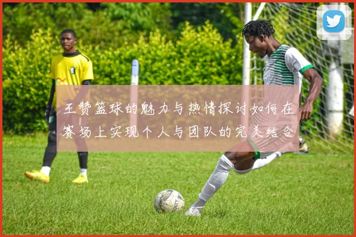 王赞篮球的魅力与热情探讨如何在赛场上实现个人与团队的完美结合