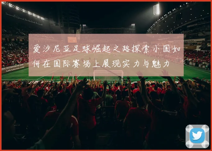爱沙尼亚足球崛起之路探索小国如何在国际赛场上展现实力与魅力