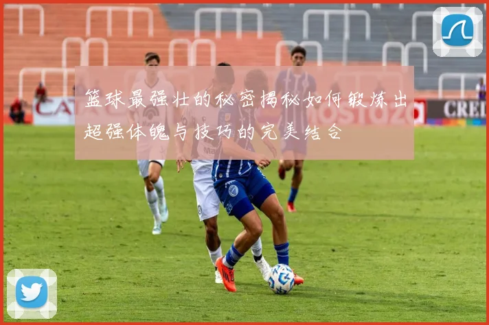 篮球最强壮的秘密揭秘如何锻炼出超强体魄与技巧的完美结合