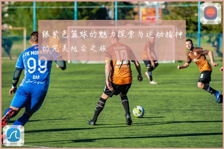银紫色篮球的魅力探索与运动精神的完美结合之旅