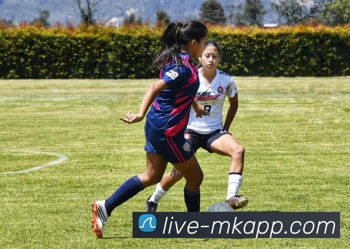 App Interface Preview