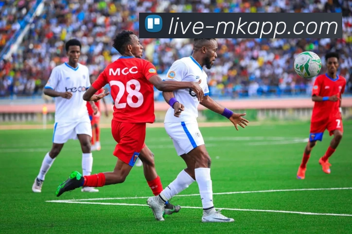 MK体育APP 封面图